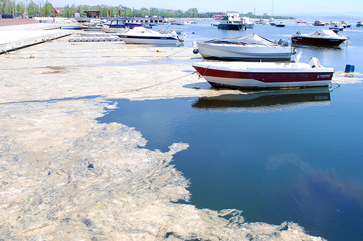 Deniz Kirliliği Bulaşıcı Hastalıklara Yol Açabilir Deniz Kirliliği Bulaşıcı Hastalıklara Yol Açabilir
