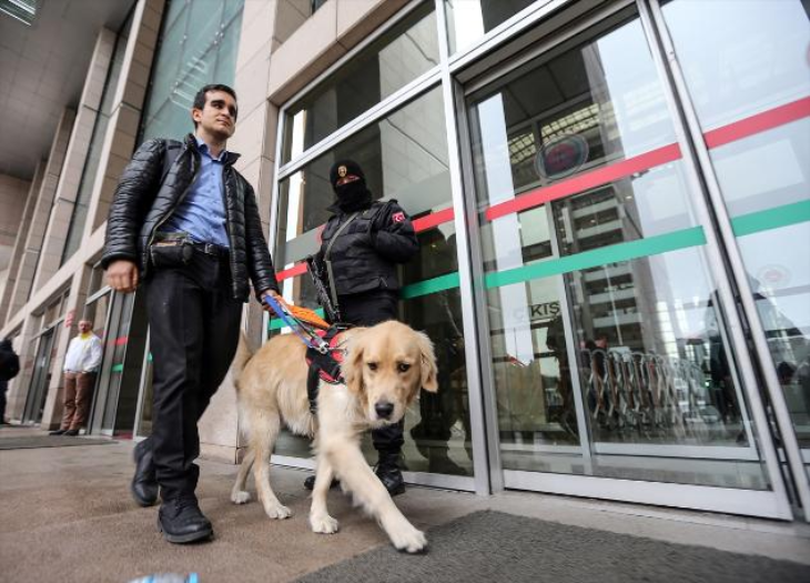 İzmir’de Rehber Köpek Uygulamasının Yaygınlaşması İçin Eğitim Verildi