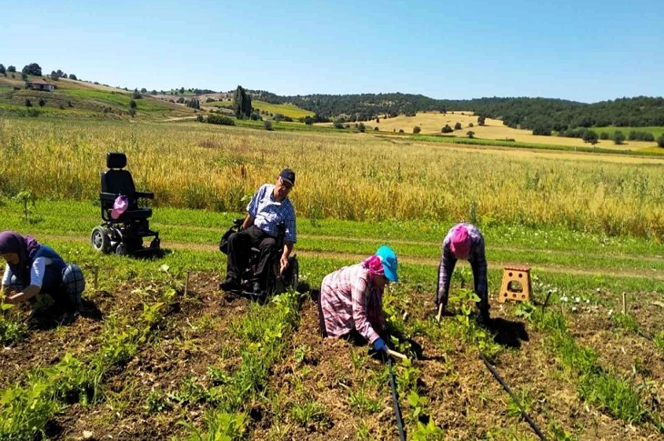Engelli Bireyler Uygulamalı Bahçede Sebze Yetiştiriyorlar Engelli Bireyler Uygulamalı Bahçede Sebze Yetiştiriyorlar