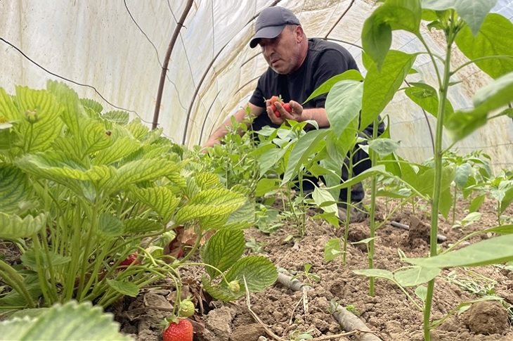 Zonguldak’ta, Sebze Meyve Yetiştiriciliği Gazi’nin Gelir Kapısı Oldu