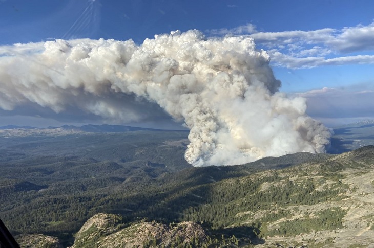 Bir orman yangını sonucu havaya yayılan devasa duman görüntüsü objektife yansıyor.