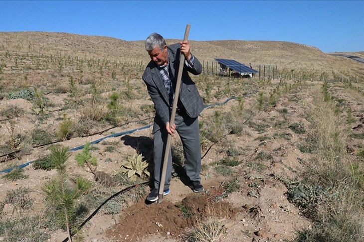 Doğa gönüllüsü Abdullah Karataş'ın toprağa çam ağacı diktiği ana dair bir resim objektife yansıyor.
