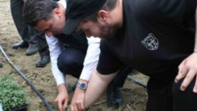 Etkinlik kapsamında engelli bireyler fide ekiyorlar.