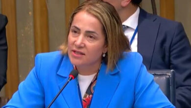 Aile ve Sosyal Hizmetler Bakan Yardımcısı Sevim Sayım Madak, konferansta konuşma yapıyor.