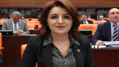 Mersin Milletvekili Gülcan Kış.