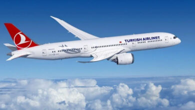 Türk Hava Yolları uçağı görselde havada bulutların üstünde uçuyor.