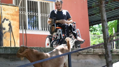 Bedensel engelli birey Savaş Yaşar, akülü tekerlekli sandalye üzerinde ve evinin önüne yapılan rampa üzerindeki keçiyi izliyor.