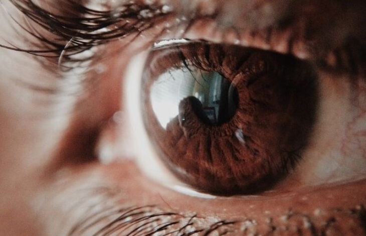 Fotoğrafta, çok yakın bir mesafeden bir kişinin gözünün çekiminin yapıldığı görülmektedir. Kahverengi göze sahip bu kişinin göz bebeğinden şey yansımadan fotoğrafı çeken kişinin eli ve çekilen telefon görülebilmektedir.