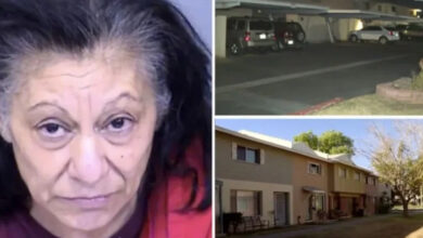 Sol üst köşe: Orta yaşlı bir kadın portresi bulunuyor. Kadın koyu renk saçlı, kırışıklıkları belirgin ve üzgün ya da ciddi bir ifadeye sahip. Üzerinde kırmızı tonlarında bir kıyafet var. Sağ üst köşe: Bir apartman ya da siteye ait kapalı otopark alanı gece çekiminde gösteriliyor. Arka planda park edilmiş araçlar ve loş bir ışıklandırma mevcut. Alt kısım: Gün ışığında çekilmiş bir apartman kompleksi görüntüsü var. İki katlı sıralı evler görülüyor, önlerinde çimenlik alan ve birkaç ağaç mevcut. Evlerin dış cephesi açık renkli.