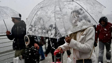 Görselde, yoğun kar yağışı altında şeffaf bir şemsiye taşıyan bir kadın görülüyor. Üzerinde beyaz bir kaban var ve yanında pembe bir valiz taşıyor. Şemsiye karla kaplanmış durumda. Arka planda, diğer yayalar da kar yağışından korunmaya çalışıyor, bazıları şemsiye kullanıyor, bazıları ise kalın kıyafetler giymiş. Ortamın bir köprü ya da sahil hattına yakın bir yer olduğu anlaşılıyor.