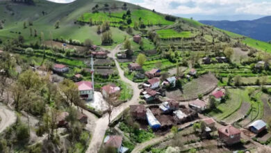 Kuş bakışı Gökova Mahallesi.