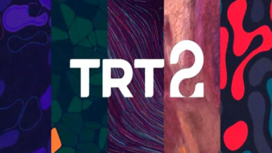 TRT 2 logo.