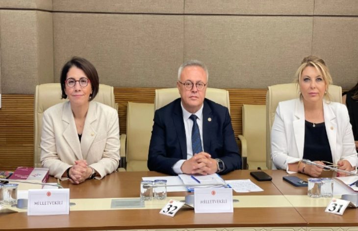 Bu görselde, Türkiye Büyük Millet Meclisi’nde (TBMM) düzenlenen bir komisyon toplantısında üç milletvekili yer alıyor. Ortam resmi ve ciddi bir toplantı salonunu andırıyor. Masada “Milletvekili” yazılı kartlar, numaralandırılmış koltuklar, evraklar, su bardakları ve belgeler dikkat çekiyor.