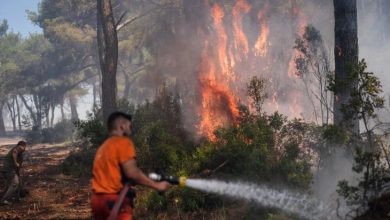 Bu görselde, ormanlık bir alanda çıkan yangına müdahale eden itfaiye ekipleri görülüyor. Alevler büyük ve yoğun; ağaçlar yanmakta. Ön planda bir görevli hortumla su sıkarak yangını söndürmeye çalışıyor. Ortam yoğun dumanla kaplı ve durum oldukça ciddi görünüyor.