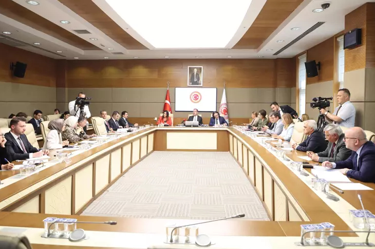 Görselde, Türkiye Büyük Millet Meclisinde gerçekleştirilen komisyon toplantısı sırasında milletvekilleri dikdörtgen biçimindeki bir masanın etrafında oturuyor. Komisyon Başkanı Mehmet Muharrem Kasapoğlu, kameranın çekim açısına göre masanın tam karşı tarafında yer alıyor.