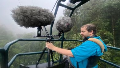 Orman manzarası eşliğinde bir teleferik kabininde Juan Pablo Culasso bulunuyor. Üzerinde mavi yağmurluk duruyor, profesyonel ses kayıt ekipmanlarıyla çevresindeki doğa seslerini kaydediyor. Kayıt cihazına bağlı iki büyük mikrofonun üzerinde rüzgâr ve yağmur seslerini filtrelemeye yarayan tüylü “windshield” koruyucular bulunuyor.