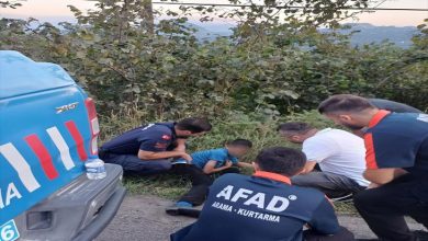 Görselde, yol kenarında AFAD ekipleri ve bir sivil, fındık bahçesinin kenarında oturan küçük bir çocuğa yardım ediyor. AFAD görevlilerinin sırtında “AFAD Arama-Kurtarma” yazılı üniformaları var. Yan tarafta AFAD aracının bir kısmı görülüyor. Arka planda ağaçlık alan ve uzaklarda dağ manzarası yer alıyor.