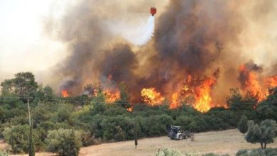 Yeşillik alanda büyüyen yangın.