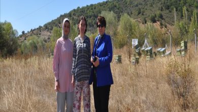 Görselde, açık arazide üç kadın yan yana duruyor. Arkada yeşil ağaçlık bir yamaç ve arı kovanları görülüyor. Kadınlardan biri açık renk başörtüsü ve pembe tunik giymiş, ortadaki desenli gömlek ve çiçek desenli pantolon, sağdaki ise mavi ceket ve güneş gözlüğü takmış. Fotoğraf, kırsal bir alanda çekilmiş.