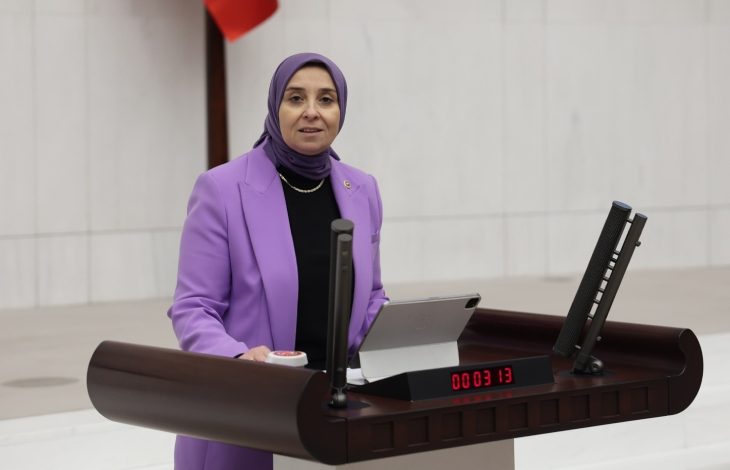DEVA Partisi İstanbul Milletvekili ve Genel Başkan Yardımcısı Elif Esen, TBMM kürsüsünde konuşma yapıyor.