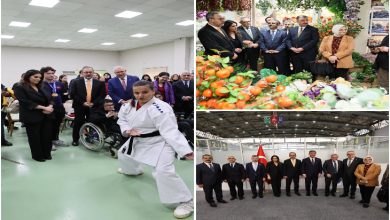 ChatGPT: Görsel, üç kareden oluşan bir kolaj gibi duruyor: Sol kare: Aydınlık bir salonda, kalabalık bir grup bir etkinliği izliyor. Önde beyaz karate kıyafeti giymiş bir sporcu gösteri yaparken arkada tekerlekli sandalyedeki bireyler ve protokol üyeleri dikkatle izliyor. Sağ üst kare: Çiçekler ve bitkilerle dolu renkli bir serada, takım elbiseli bir grup yetkili ürünlerin arasında sohbet ediyor. Sağ alt kare: Geniş bir fuar alanında, Türk bayrağı yanında yan yana dizilmiş kalabalık bir heyet kamera karşısında toplu fotoğraf veriyor.