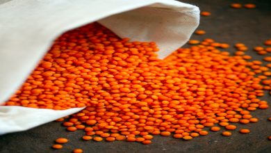 Beyaz bir bez torbadan dökülen parlak turuncu mercimek taneleri, koyu renk bir zemin üzerinde dağılmış halde görülüyor.