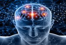 Dijital ve futuristik bir tasarımda, yarı saydam bir insan başı ve beyin görselleştirilmiş. Beynin farklı bölgelerinde turuncu-kırmızı ışık noktaları parlıyor. Arka planda mavi tonlarda ağ yapıları ve bağlantı çizgileri yer alıyor. Görsel, beyin aktivitelerini, sinirsel bağlantıları ve zihinsel süreçleri simgeleyen teknolojik bir illüstrasyon niteliğinde.