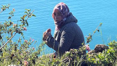 Falezlerde bulunan anne iki elini sıkarak ağlıyor.