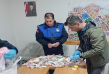 Zabıta memuru iki erkek masa üzerinde bulunan paraları sayıyor.