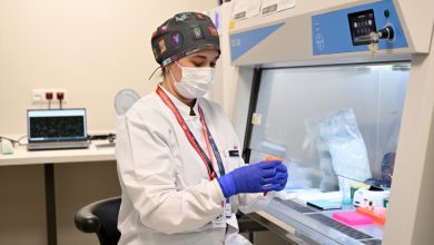 Laboratuvar ortamında maske, eldiven ve önlük giymiş kadın sağlık çalışanı, steril bir kabin içinde numune tüpüyle dikkatlice çalışıyor.