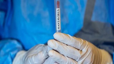 Görselde, koruyucu tıbbi eldiven giymiş bir kişinin elleri arasında üzerinde "HANTAVIRUS" yazılı bir test tüpü tuttuğu görülmektedir. Arka planda ise mavi bir koruyucu tulum bulunmaktadır; bu kompozisyon ciddi bir sağlık durumunu veya laboratuvar çalışmasını simgelemektedir.