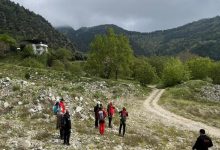 Yeşil alanda arama çalışması yapan ekip bulunuyor.