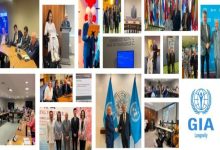 Görsel, farklı toplantı ve etkinliklerden oluşan bir kolajı gösteriyor. Fotoğraflarda uluslararası konferans salonları, konuşmacılar, panel oturumları, grup fotoğrafları ve kurumsal buluşmalar yer alıyor. Bazı karelerde Birleşmiş Milletler temalı alanlar ve kurumsal logolar görülürken, genel olarak engellilik, yaşlanma, uzun yaşam politikaları ve uluslararası iş birliği ekseninde gerçekleştirilen savunuculuk ve politika çalışmalarını yansıtan bir içerik izlenimi veriyor.