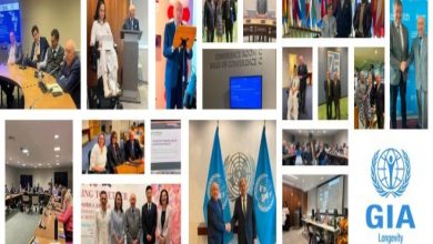 Görsel, farklı toplantı ve etkinliklerden oluşan bir kolajı gösteriyor. Fotoğraflarda uluslararası konferans salonları, konuşmacılar, panel oturumları, grup fotoğrafları ve kurumsal buluşmalar yer alıyor. Bazı karelerde Birleşmiş Milletler temalı alanlar ve kurumsal logolar görülürken, genel olarak engellilik, yaşlanma, uzun yaşam politikaları ve uluslararası iş birliği ekseninde gerçekleştirilen savunuculuk ve politika çalışmalarını yansıtan bir içerik izlenimi veriyor.