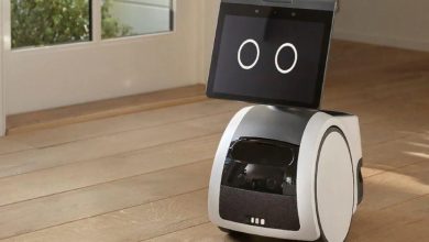 Ahşap zeminde duran, ekranında iki büyük dairesel göz bulunan sevimli görünümlü küçük bir ev robotu, geniş bir pencerenin önünde bekliyor.