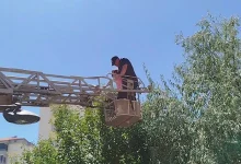 Sivas'ta bir itfaiye ekibi, ağaca tırmanıp inemeyen otizmli çocuğu kurtarmak için merdivenli itfaiye aracının sepetiyle ağacın tepesine ulaşıyor. Olay, ağaçlık bir alanda gündüz saatlerinde gerçekleşiyor.