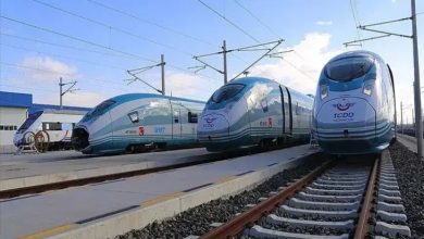 Görselde, raylar üzerinde yan yana park edilmiş TCDD Taşımacılık'a ait modern yüksek hızlı tren setleri görülüyor. Elektrikli hatların bulunduğu tren bakım veya gar sahasında çekilen görüntüde, mavi-beyaz renkli trenler ön planda yer alırken açık hava ve demiryolu altyapısı dikkat çekiyor.