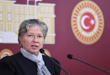 Görselde, mikrofonlar önünde konuşma yapan, kısa gri saçlı, gözlüklü ve boynunda şal bulunan bir kadın yer almaktadır. Arka planda ise Türkiye Büyük Millet Meclisi'nin amblemi ve binasına ait çizim detayları bulunmaktadır.